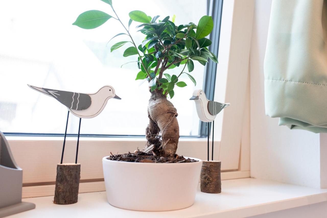 Apple Tree Apartment بليد المظهر الخارجي الصورة